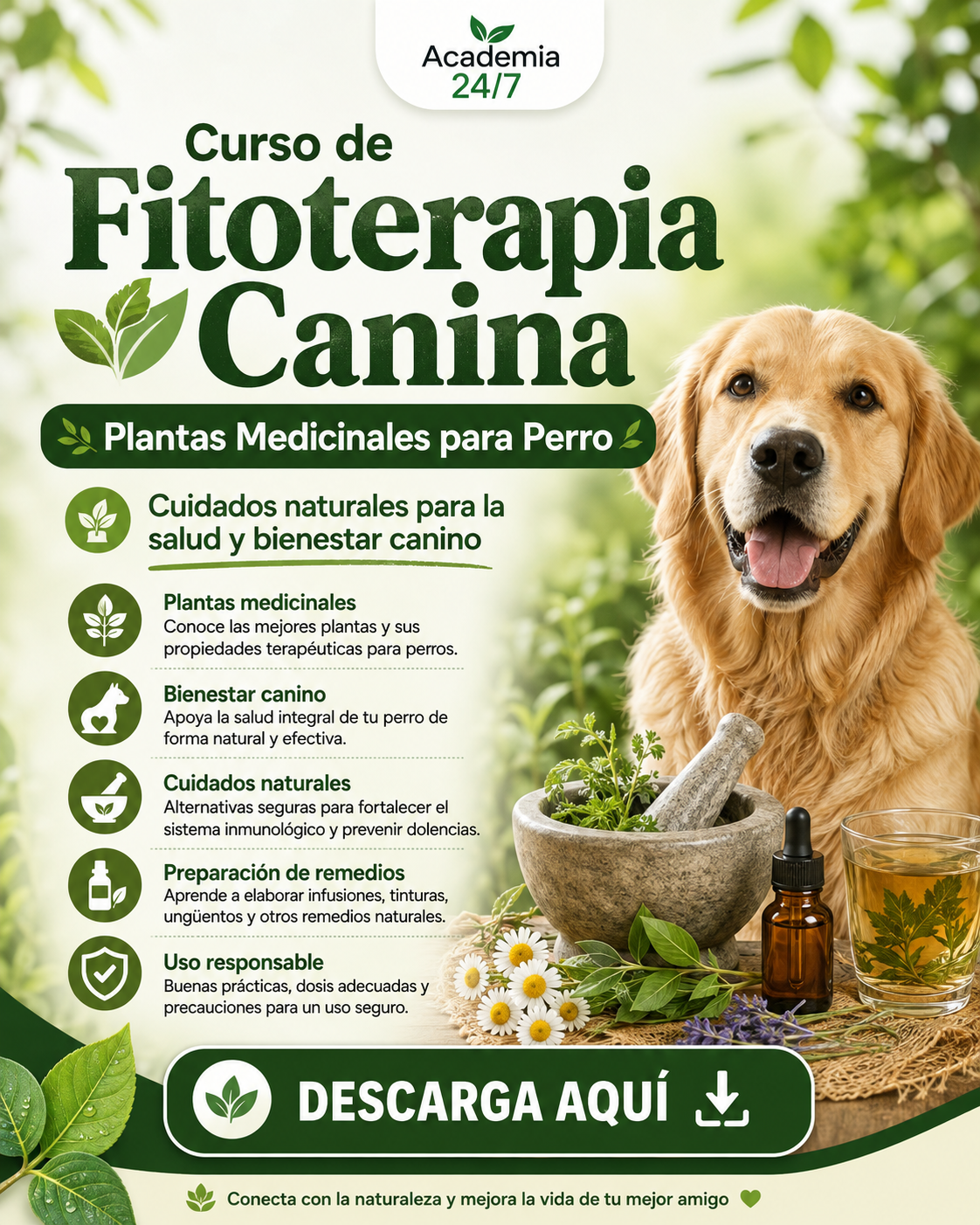 Curso de Fitoterapia Canina - Plantas Medicinales para Perro