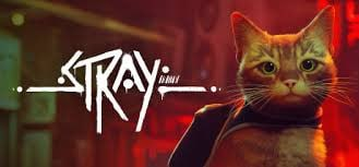 STRAY – PC / Consolas